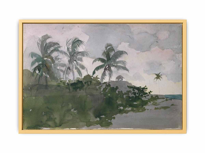 Coconut Palms