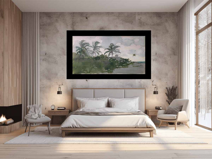Coconut Palms