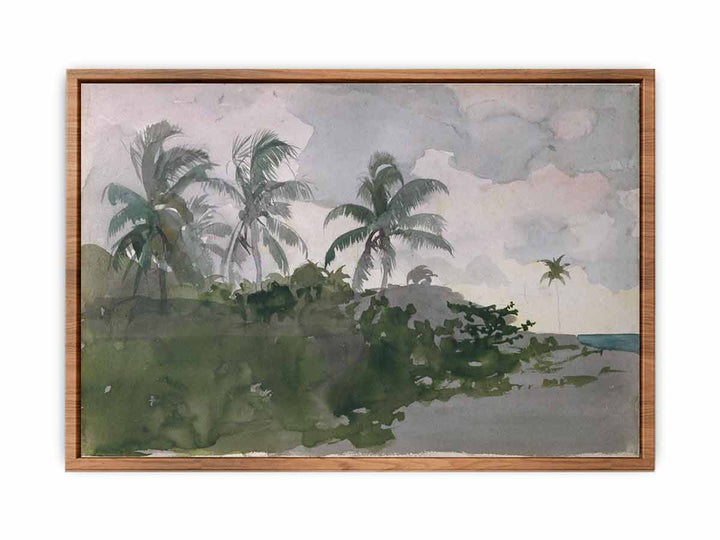 Coconut Palms