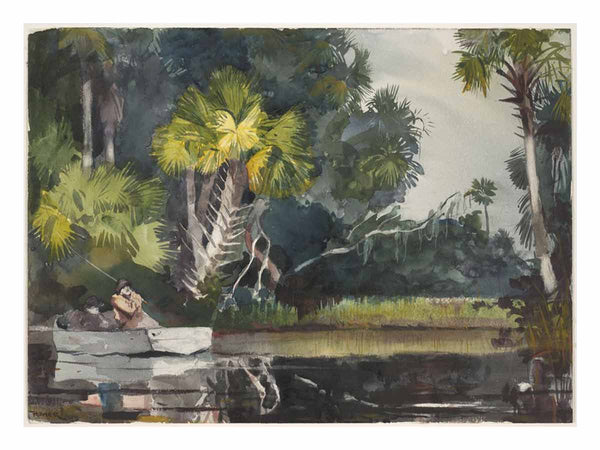 Homosassa Jungle