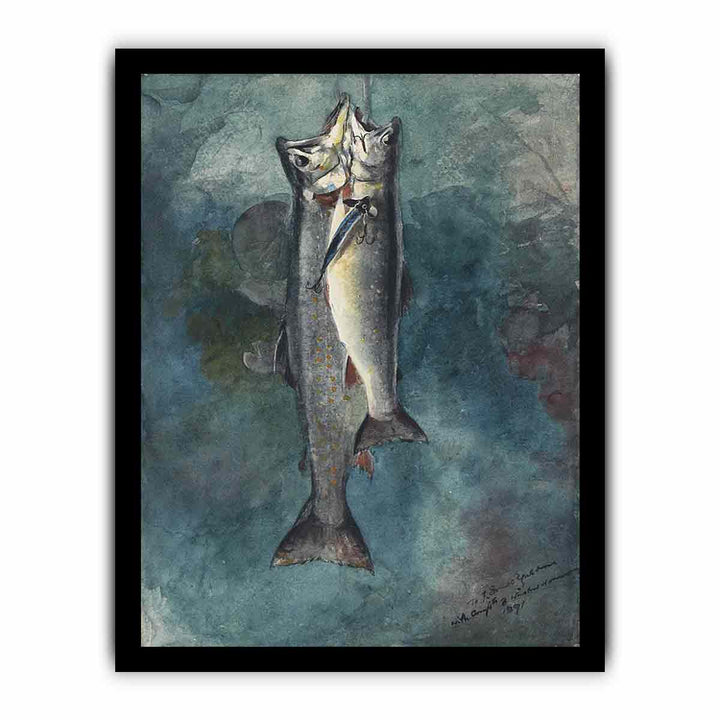 Two Trout