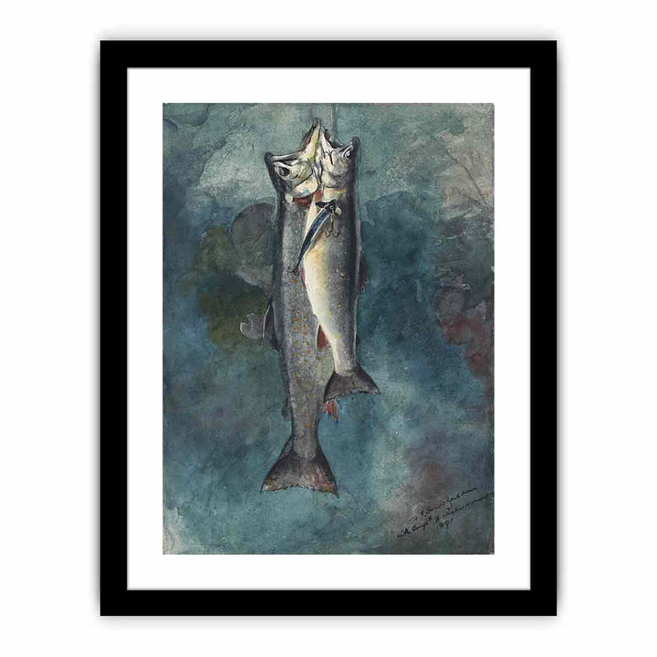 Two Trout