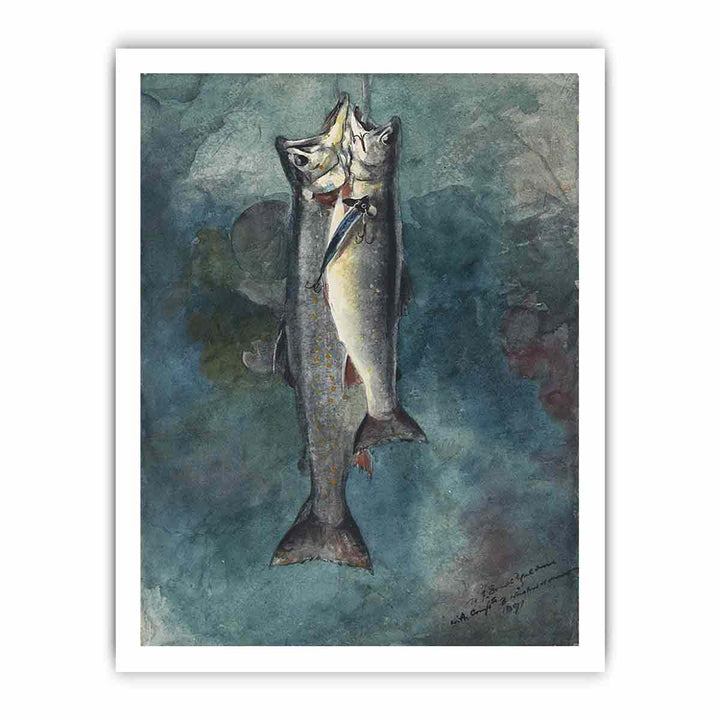 Two Trout