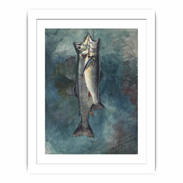 Two Trout
