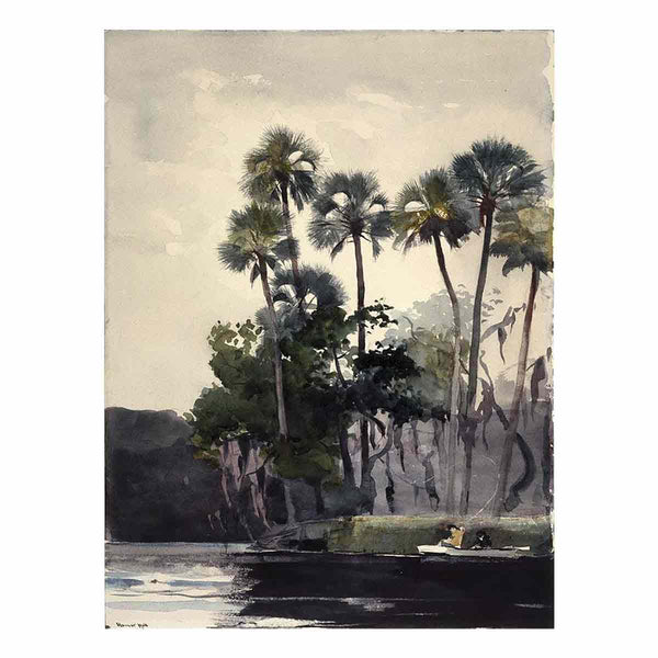         
Homosassa River