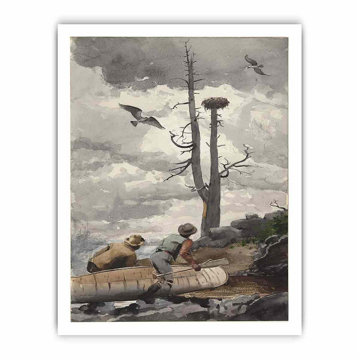 The Eagle's Nest / Osprey's Nest