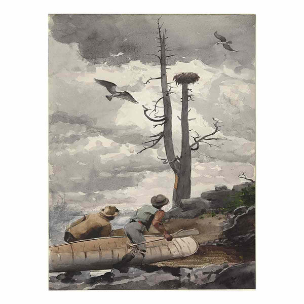 The Eagle's Nest / Osprey's Nest