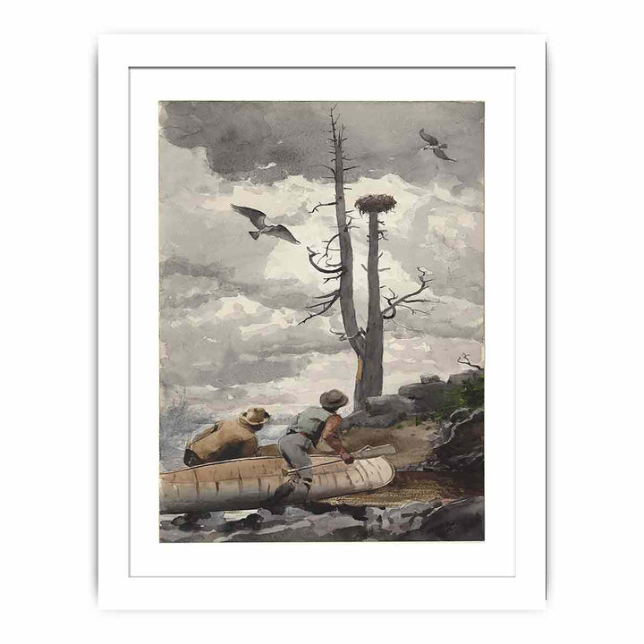 The Eagle's Nest / Osprey's Nest