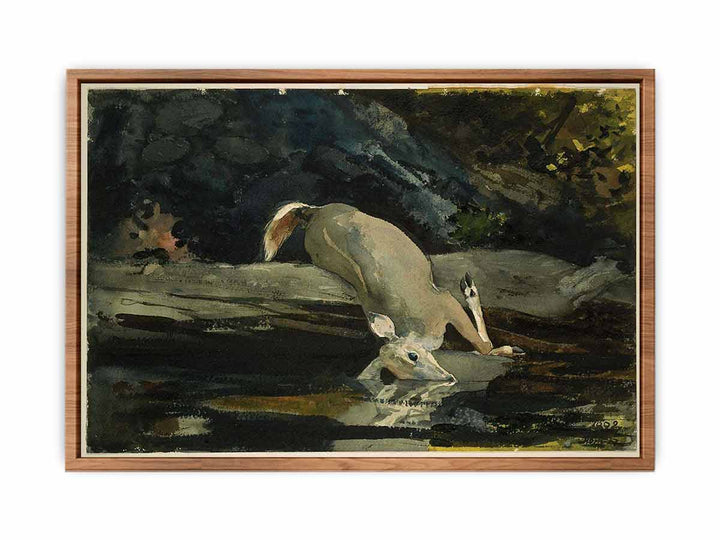 The Fallen Deer
