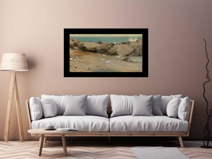 Rocky Coast and Gulls
