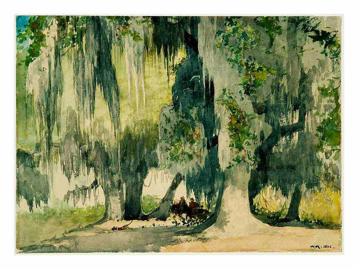 Among the Oaks (Live Oaks)
