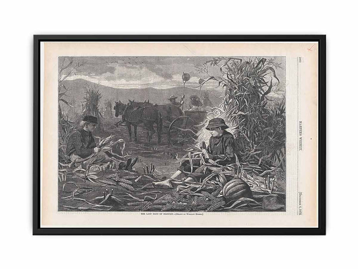 The Last Days of Harvest – Drawn by Winslow Homer