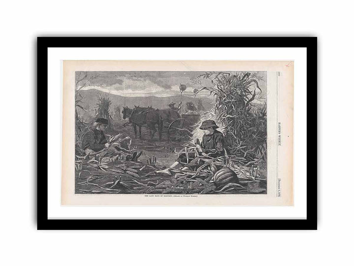 The Last Days of Harvest – Drawn by Winslow Homer