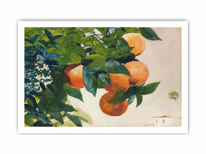 Oranges on a Branch