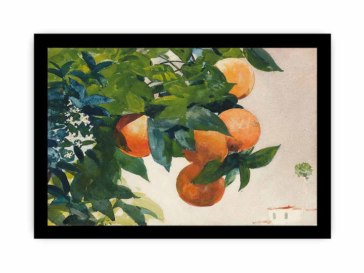 Oranges on a Branch