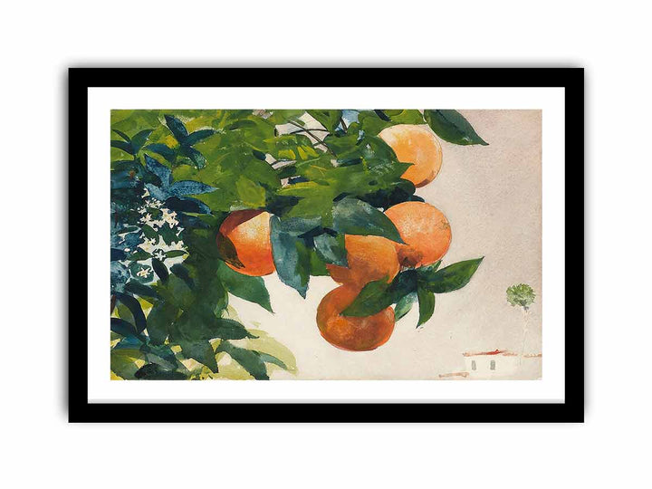 Oranges on a Branch