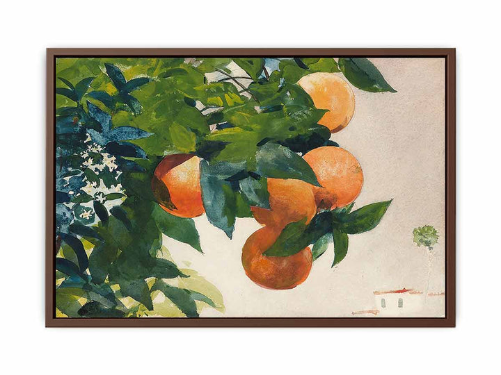 Oranges on a Branch