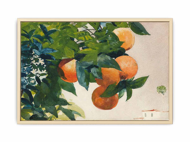 Oranges on a Branch