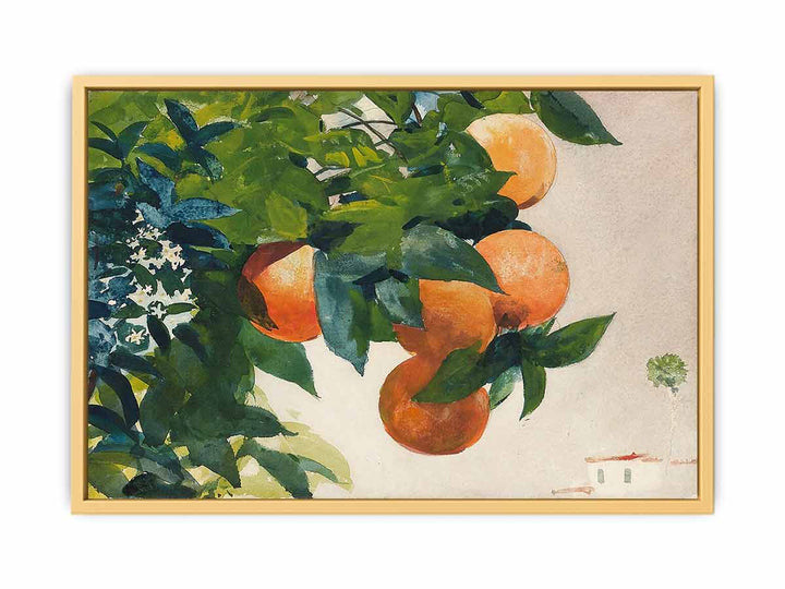Oranges on a Branch