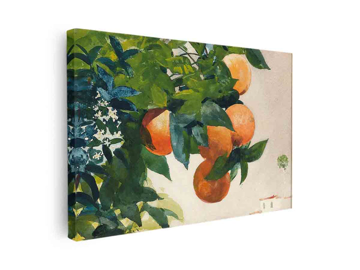 Oranges on a Branch