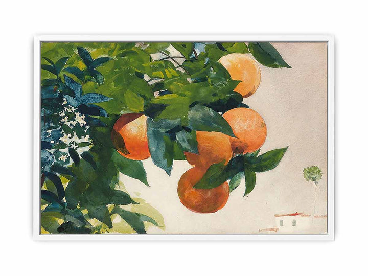 Oranges on a Branch