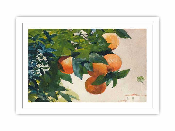 Oranges on a Branch