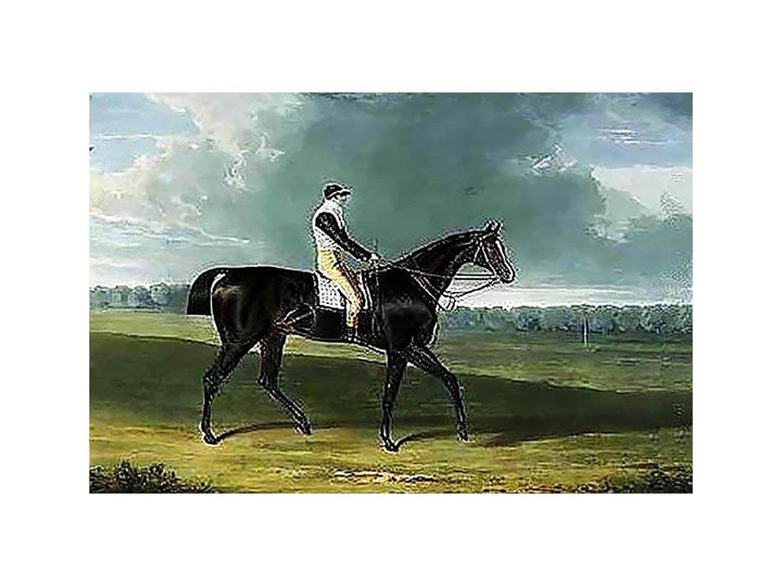 Filho da Puta', the Winner of the Great St. Leger at Doncaster