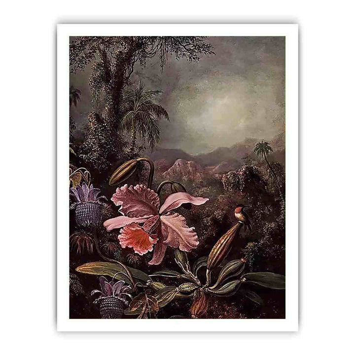 Orchids Passion Flowers And Hummingbird