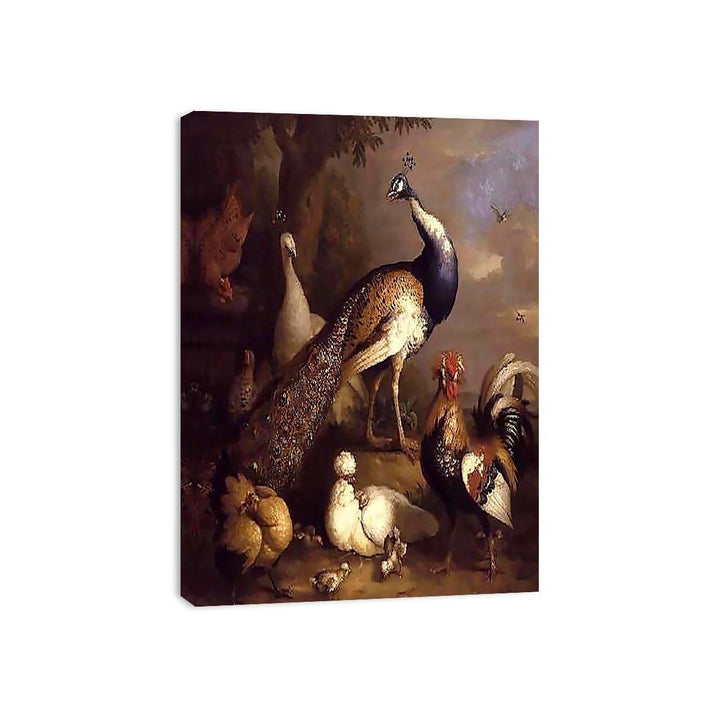 Peacock, Peahen and Poultry in a Landscape  Painting