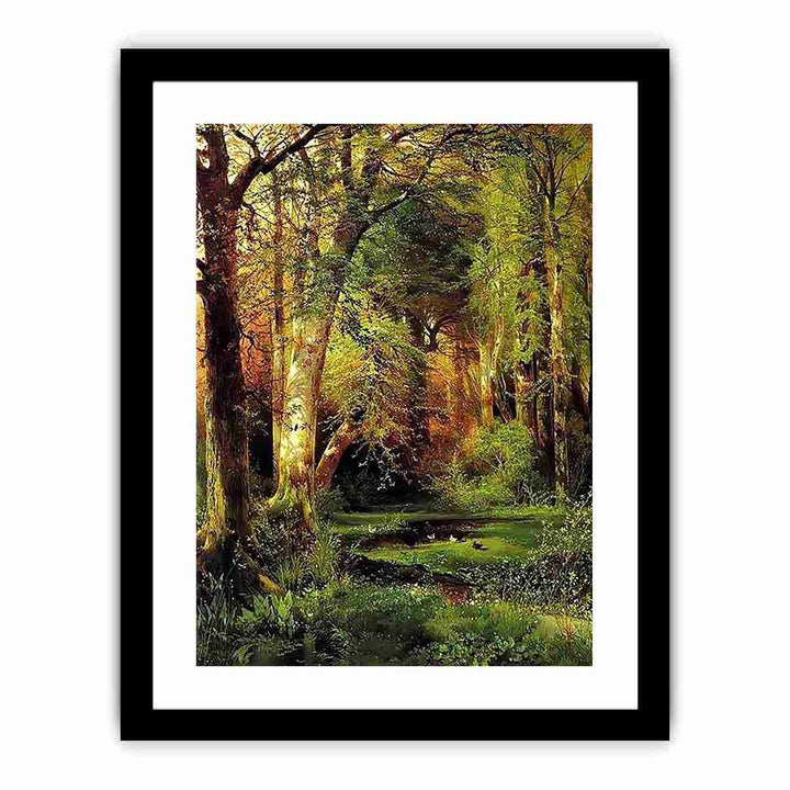 Forest Scene