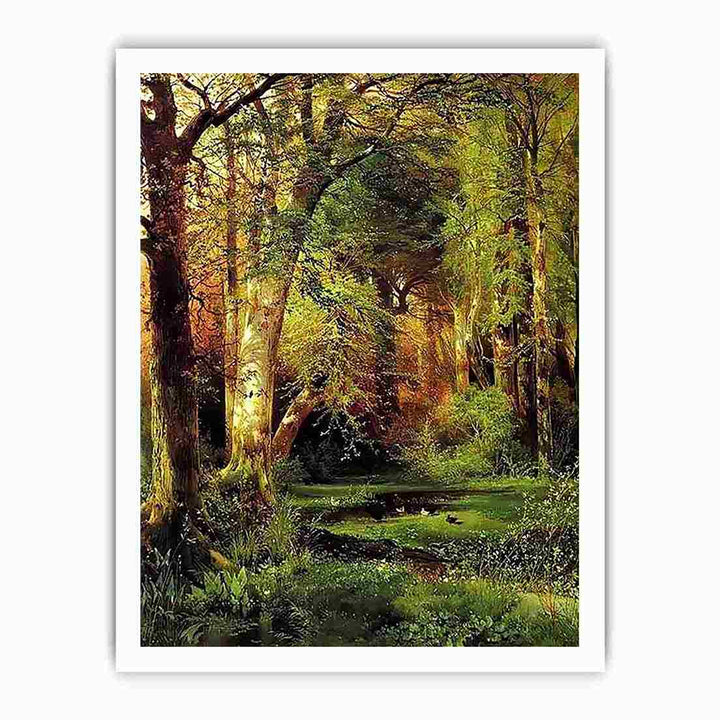 Forest Scene