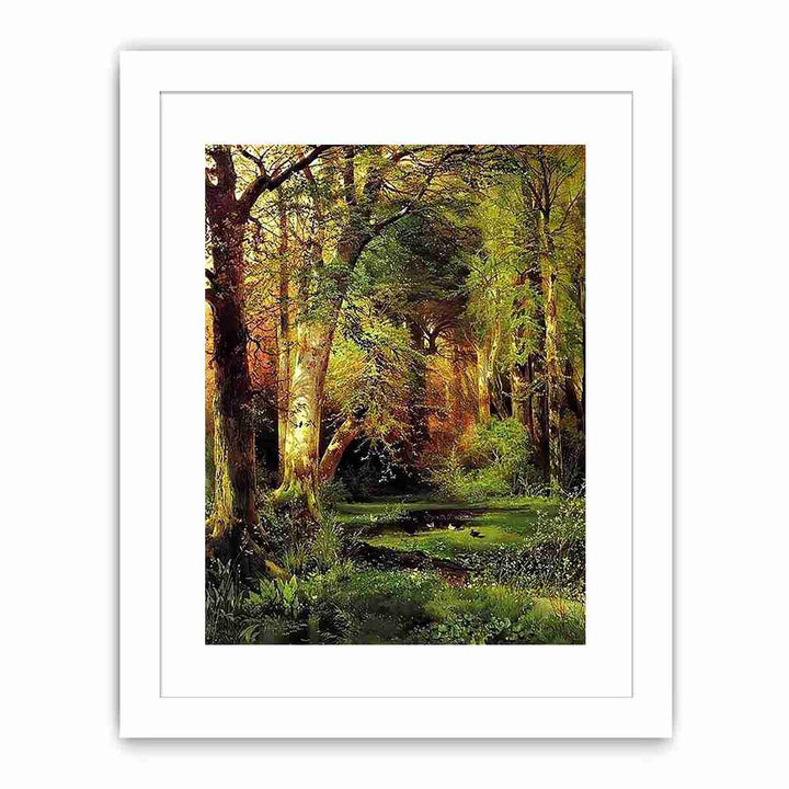 Forest Scene