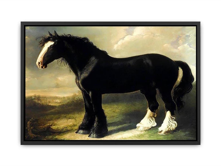 Old English Black Horse