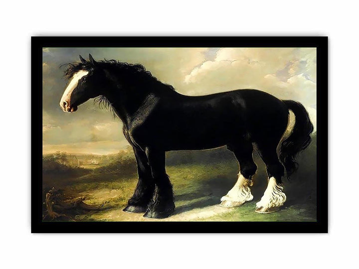Old English Black Horse