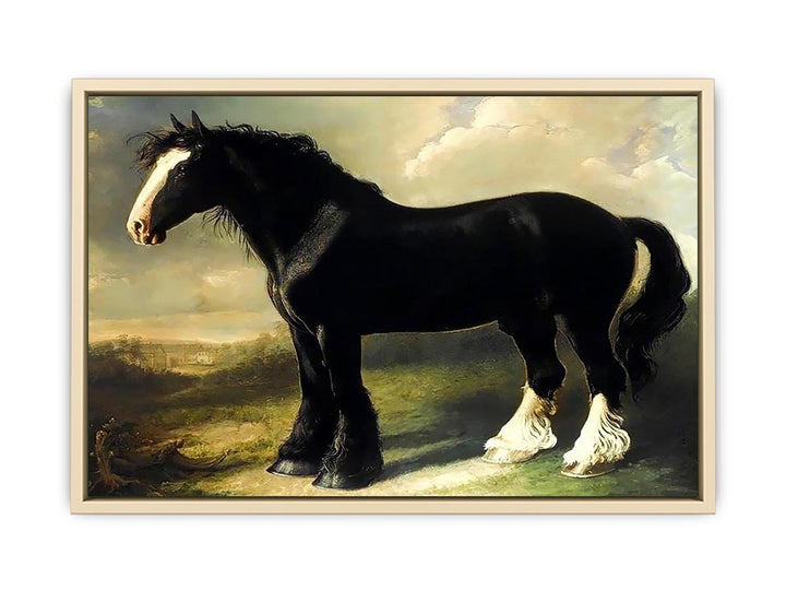 Old English Black Horse