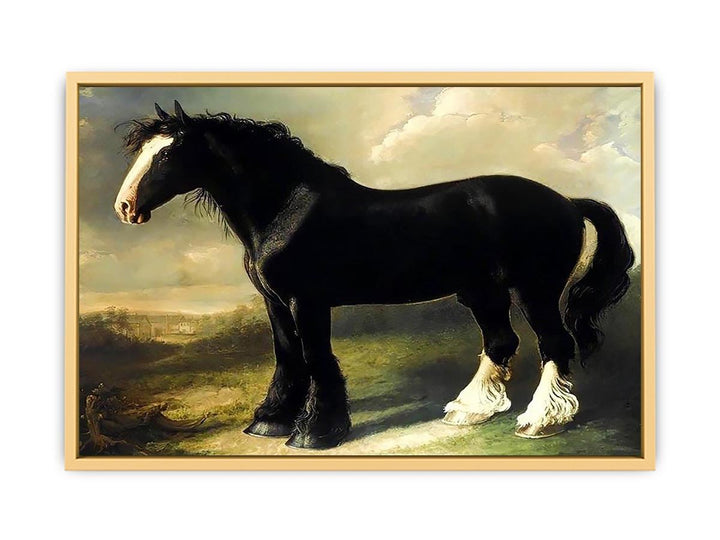 Old English Black Horse