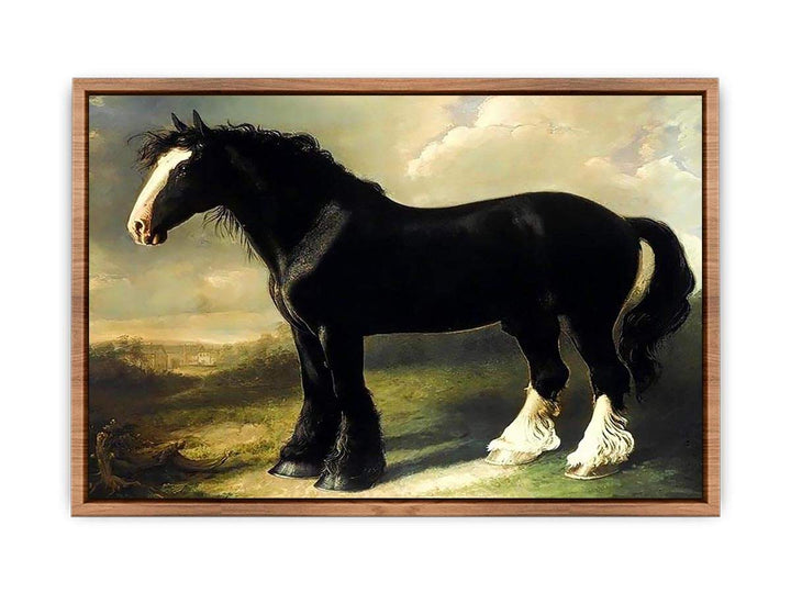 Old English Black Horse