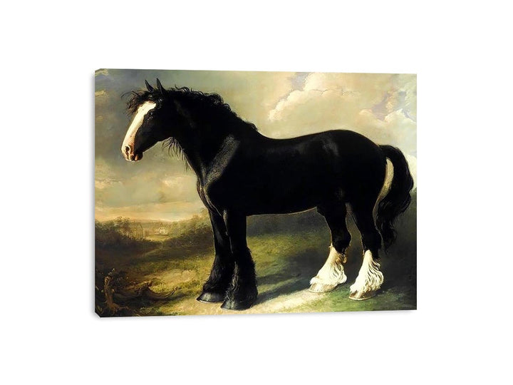 Old English Black Horse