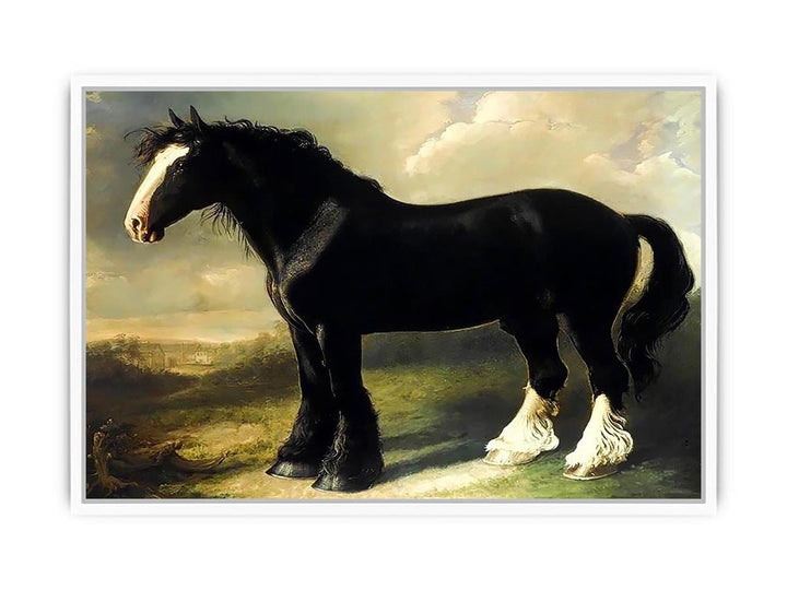 Old English Black Horse