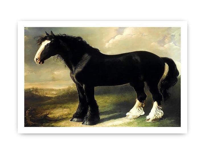Old English Black Horse