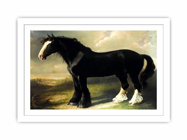Old English Black Horse