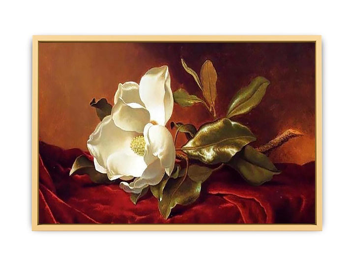 A Magnolia On Red Velvet