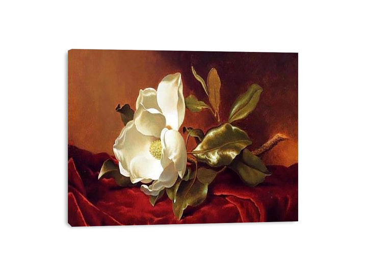 A Magnolia On Red Velvet