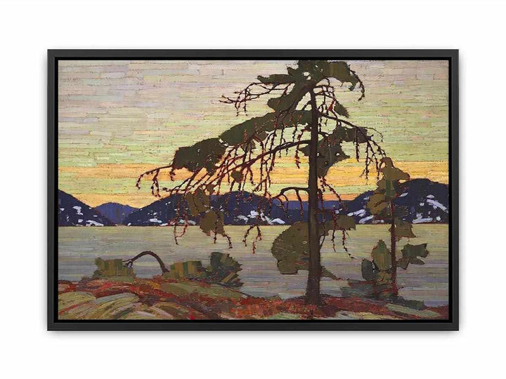 The Jack Pine