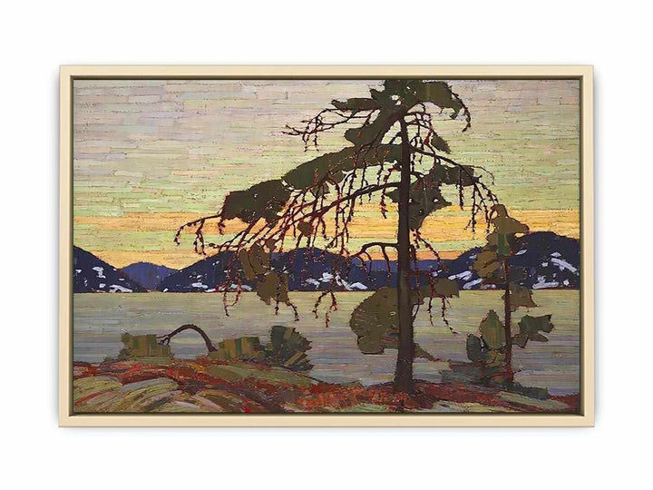 The Jack Pine