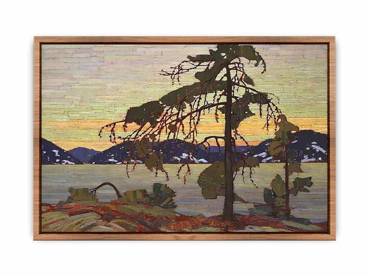 The Jack Pine