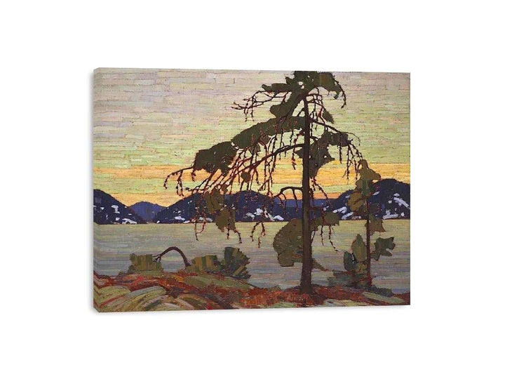 The Jack Pine