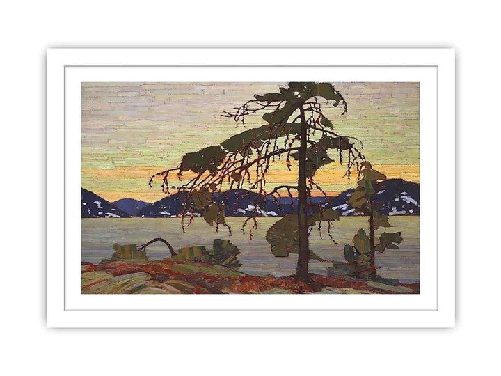 The Jack Pine