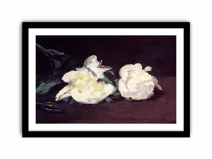 Branch of White Peonies and Secateurs