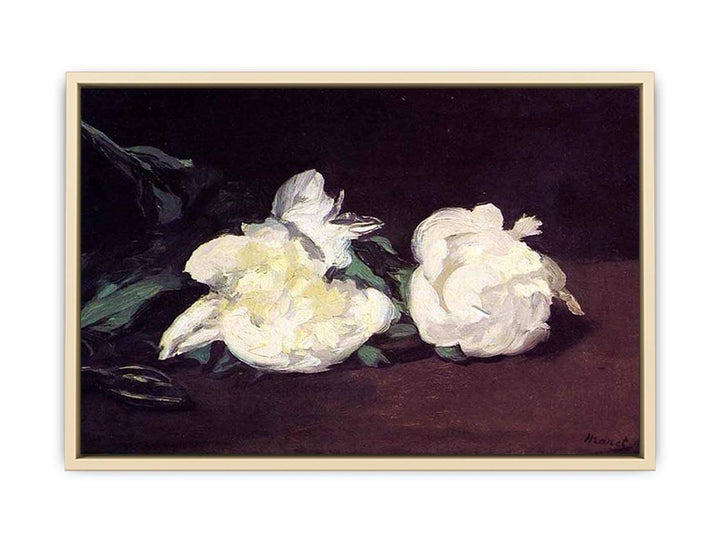 Branch of White Peonies and Secateurs